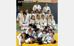 Stage Judo Benjamins Minimes